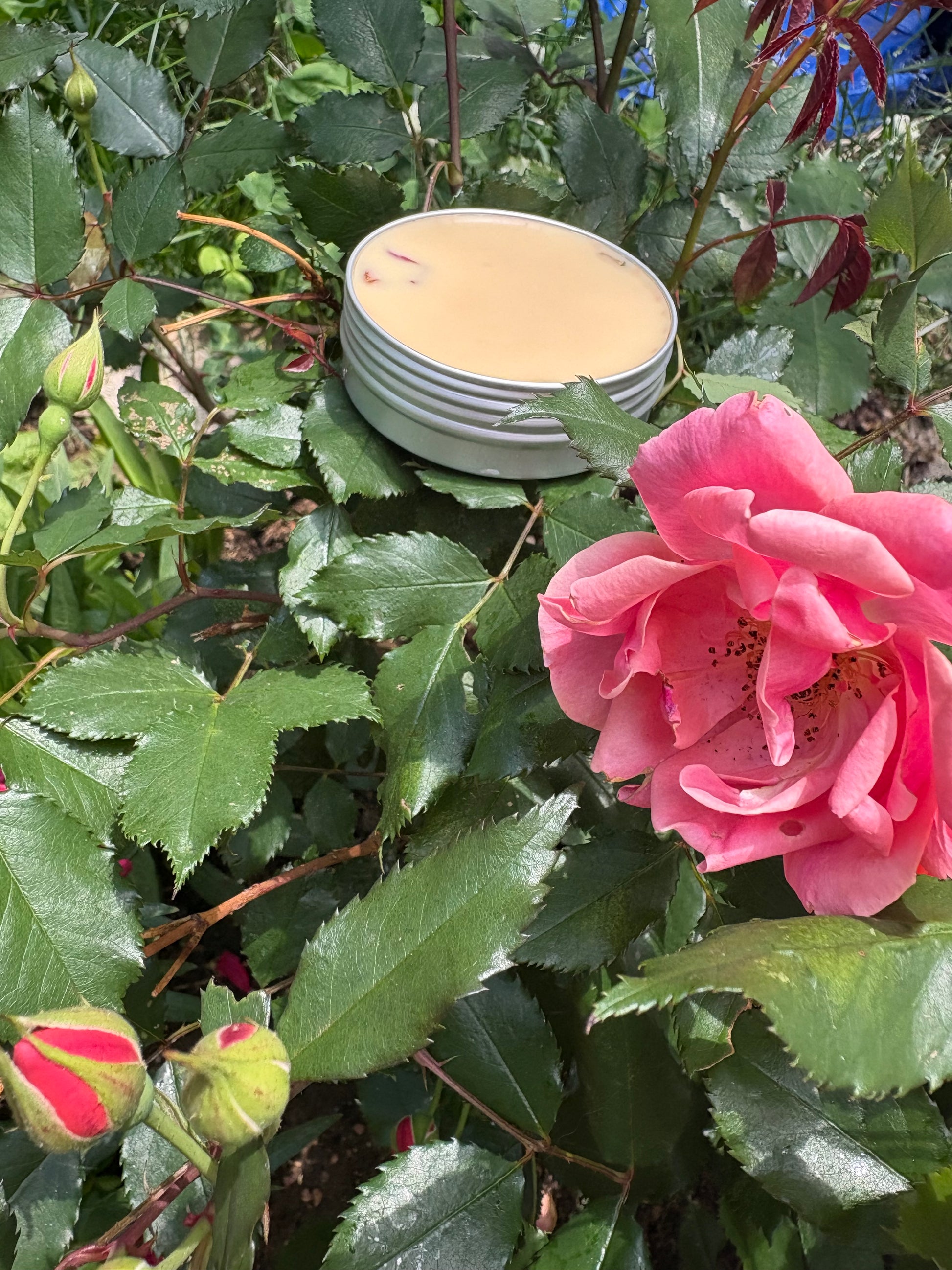 Herbal Healing Salve